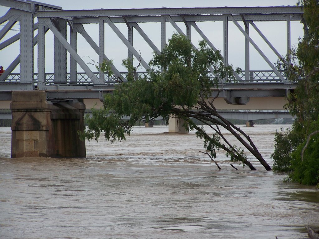 Fitzroy River in flood January 2008, Рокхамптон
