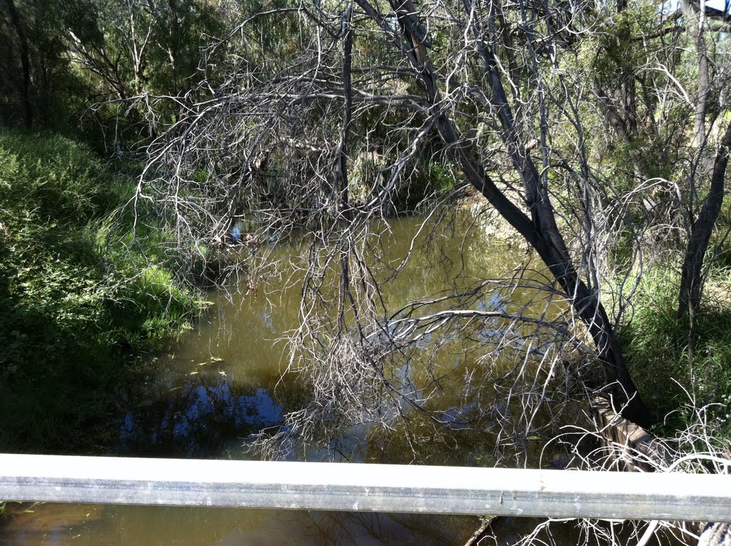 Crooked Creek Macquarie River, Mumblebone Plain by Dr Muhammad J Siddiqi State Water Corp, Албури