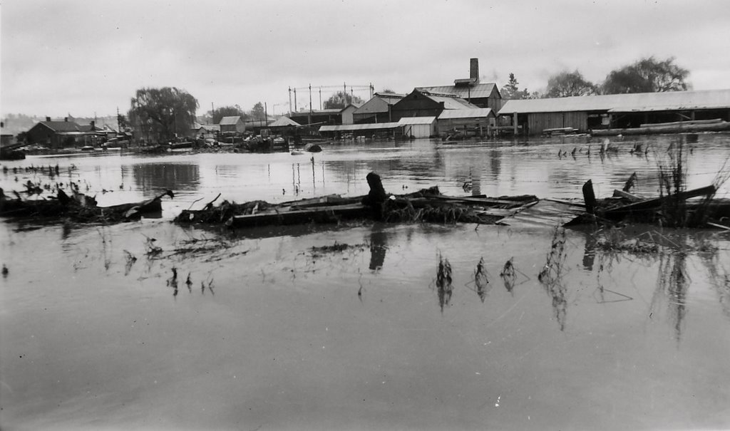 Armidale in flood c1950, Looking across to the GasWorks, Армидейл