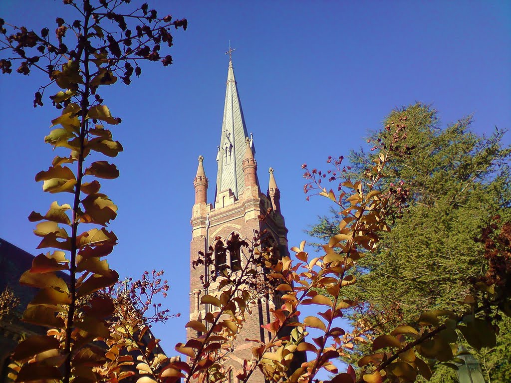 Armidale , spire of catholic church ..., Армидейл