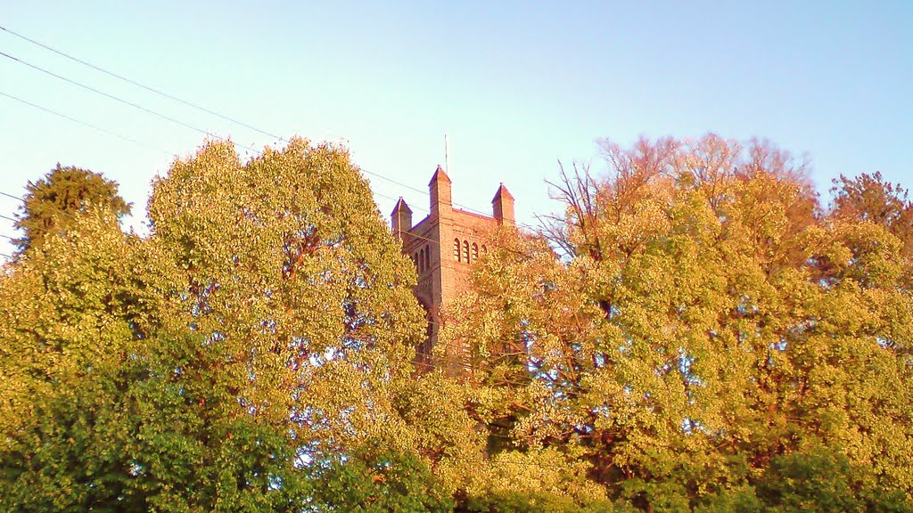 Armidale , spire amongst the autumn tree tops ..., Армидейл