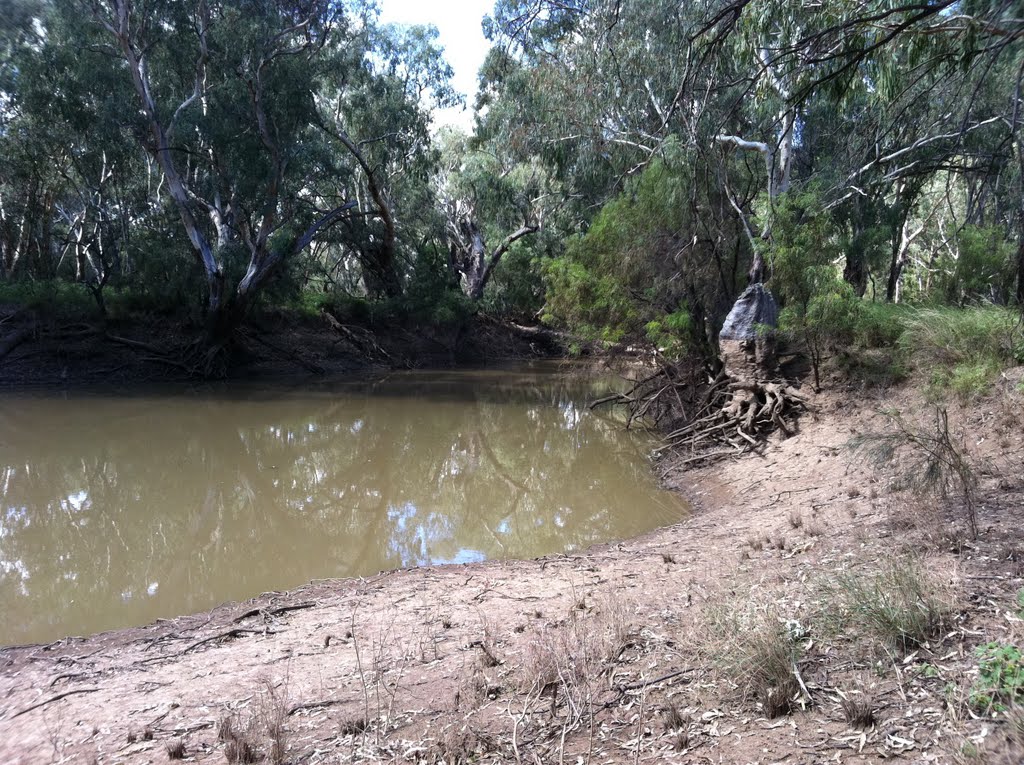 Macquarie River, Mumblebone Plain by Dr Muhammad J Siddiqi State Water Corp, Батурст