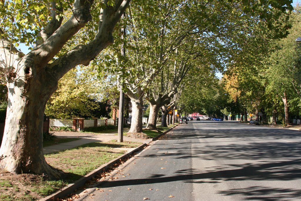 Gurwood street Wagga Wagga, Вагга-Вагга