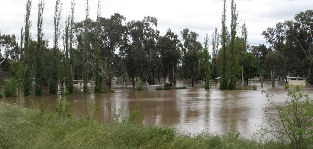 Flood October 2010: Wagga Beach Caravan Park (without vans and under water), Вагга-Вагга