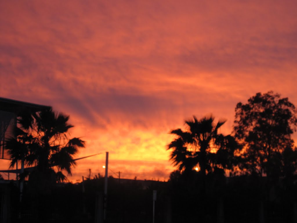 Sunset silhouette at the Oasis, Вагга-Вагга