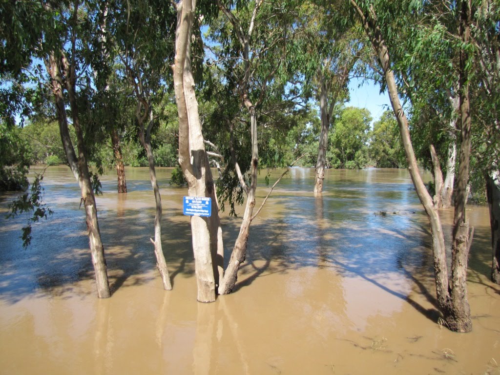 Flood Wagga Township Dec 2010, Вагга-Вагга