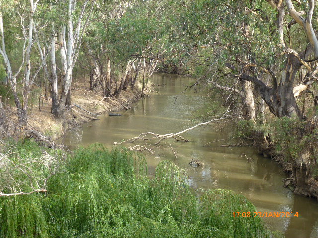 Warren - Gunningbar Creek looking upstream - 2014-01-23, Гоулбурн