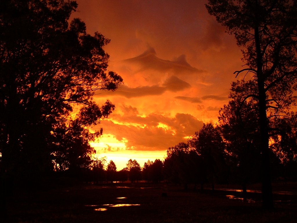 Outback Sunset, Гоулбурн