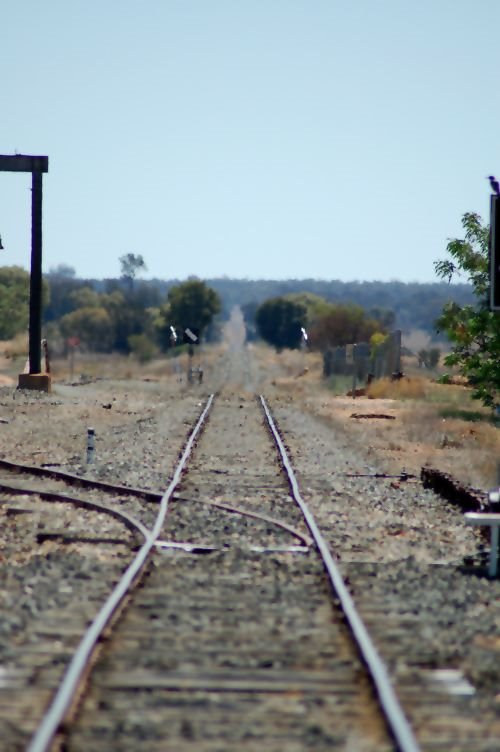 Albert Railway, Albert NSW, Дуббо-Дуббо