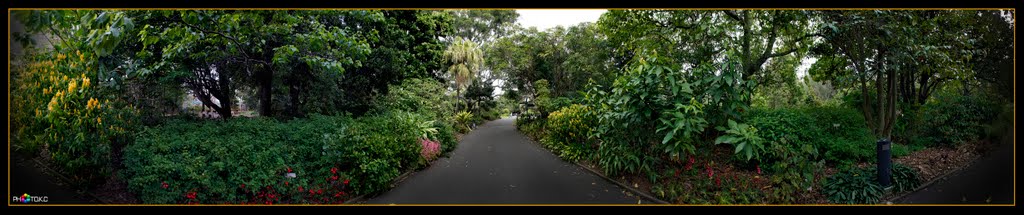 Royal Botanic Gardens, Sydney.The Botanic Gardens were founded on this site by Governor Macquarie in 1816 as part of the Governor’s Domain. Our long history of collection and study of plants began with the appointment of the first Colonial Botanist, Charl, Сидней