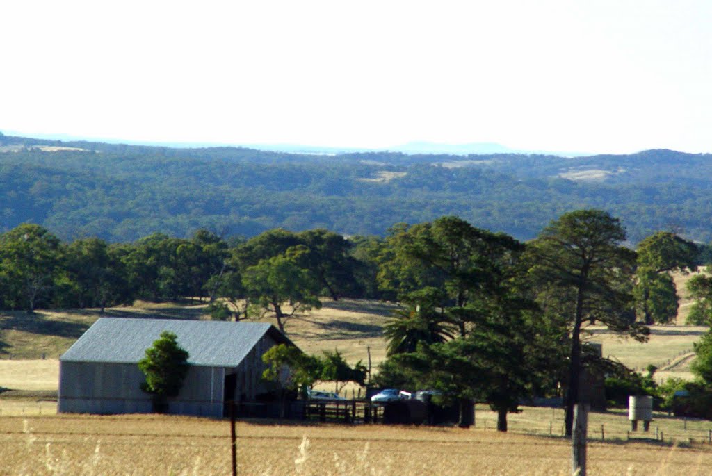 farm near Bendigo, Милдура