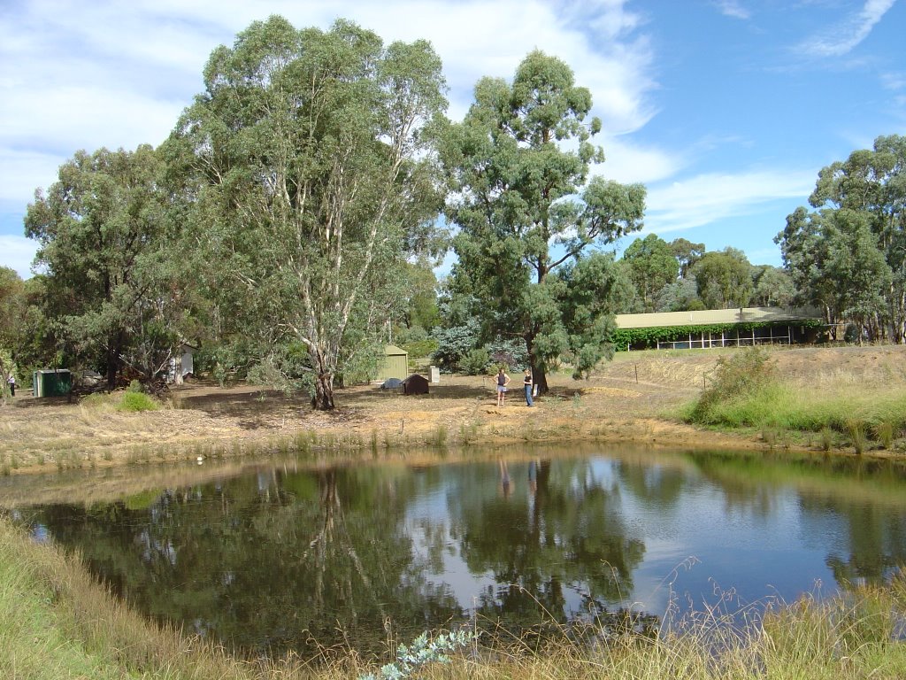 Andrews Yabby Pond (before the drought), Милдура