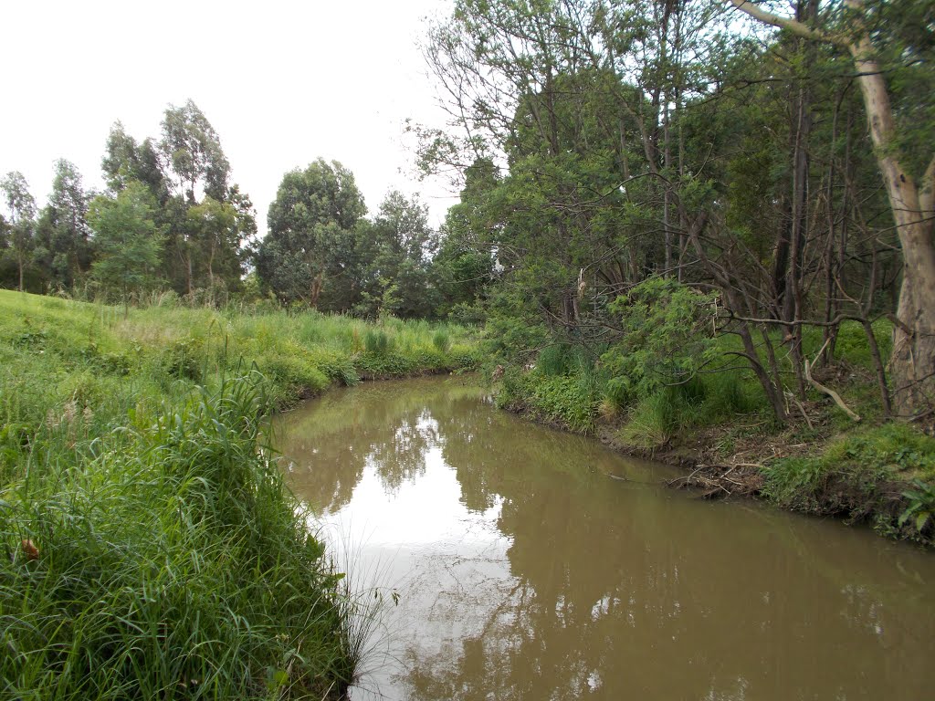 Traralgon Creek, Траралгон