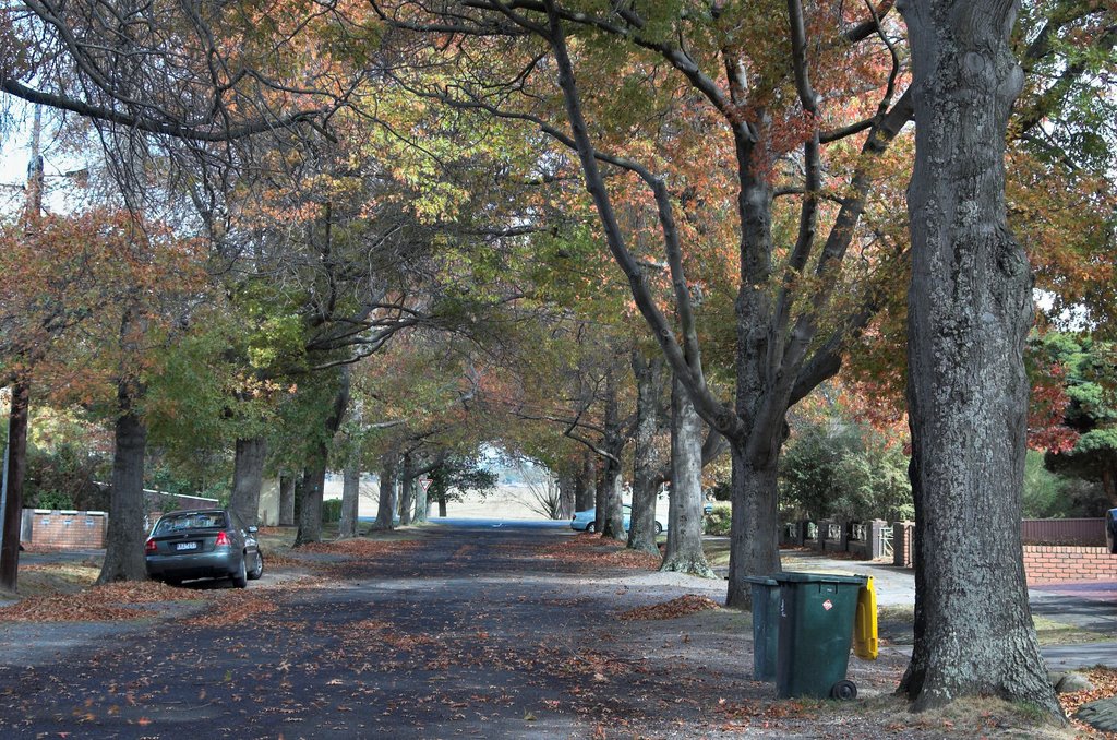 Autumn colours in Gnarr Street, Ballarat, Балларат