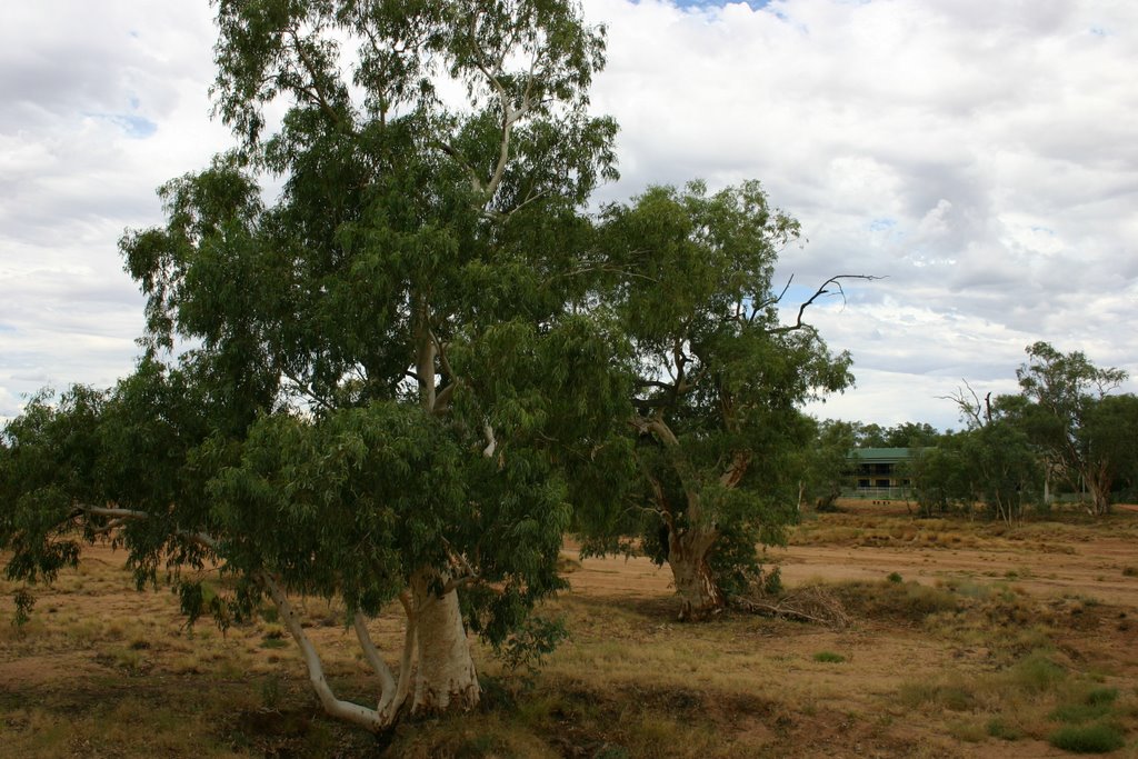 2006 Australien, Alice Springs  -526, Алис Спрингс