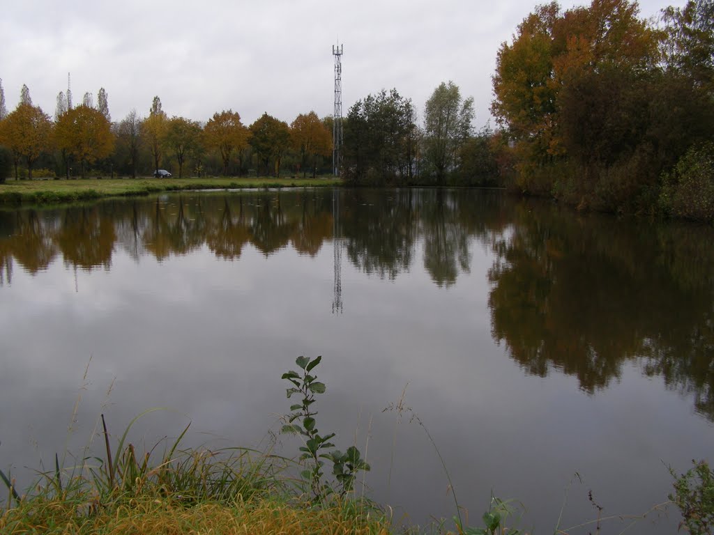 a pond near Destelbergen, Алост