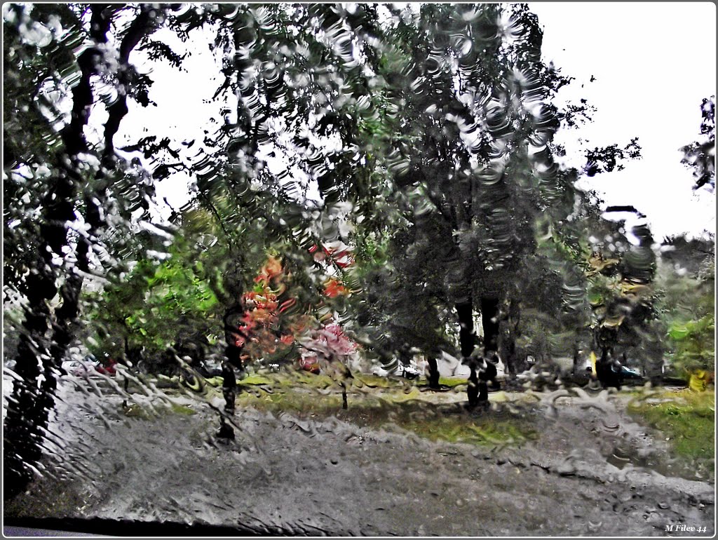 Дъжд ( RAIN), Добрич