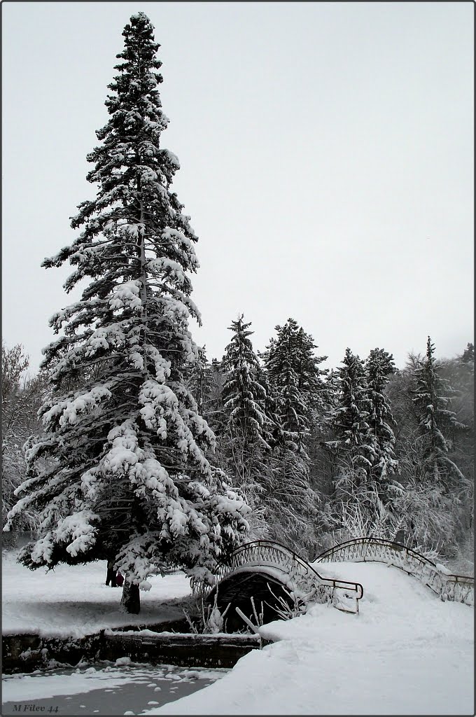 Зима, Добрич
