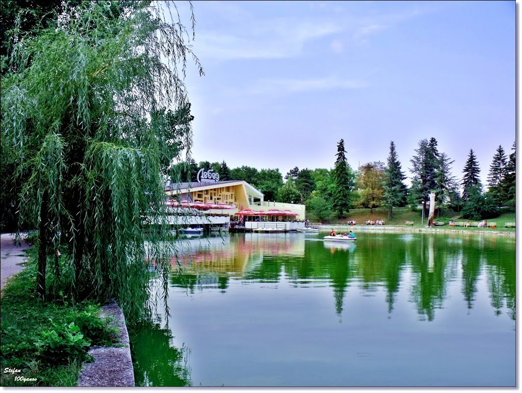 The lake and restaurant "Swan" / Езерото и ресторант "Лебед", Добрич