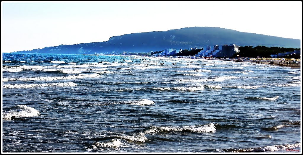 Черно море, Албена