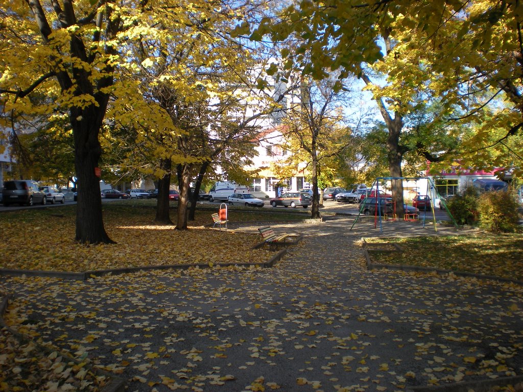 Golden Autumn in Vratza, Враца