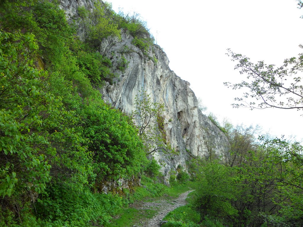 Планински път, Враца