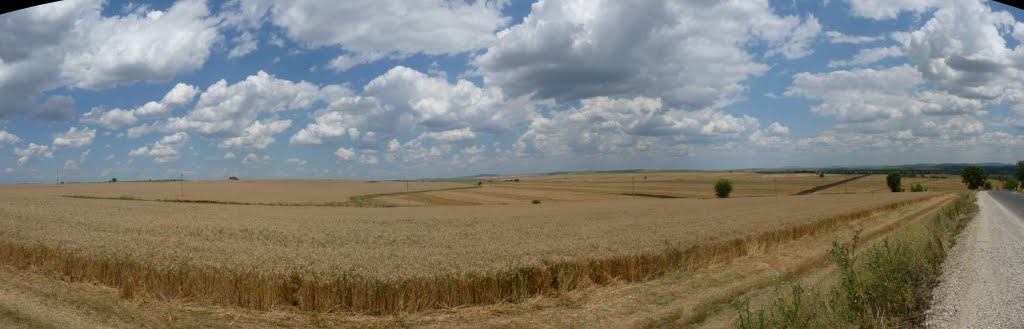 Панорама в полето на гр. Елхово, Ямбол, България, Елхово