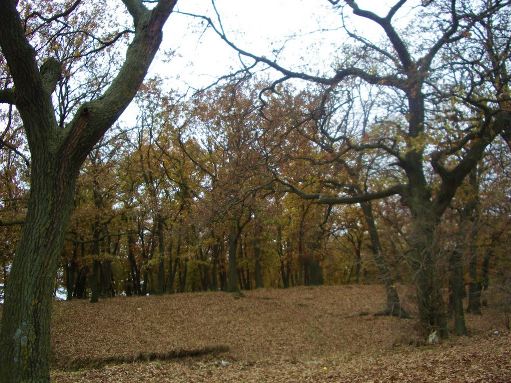 Есен, Камчия
