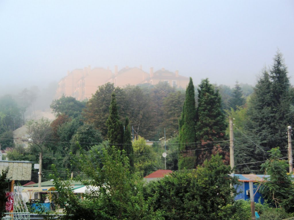 Туманное утро, Кранево