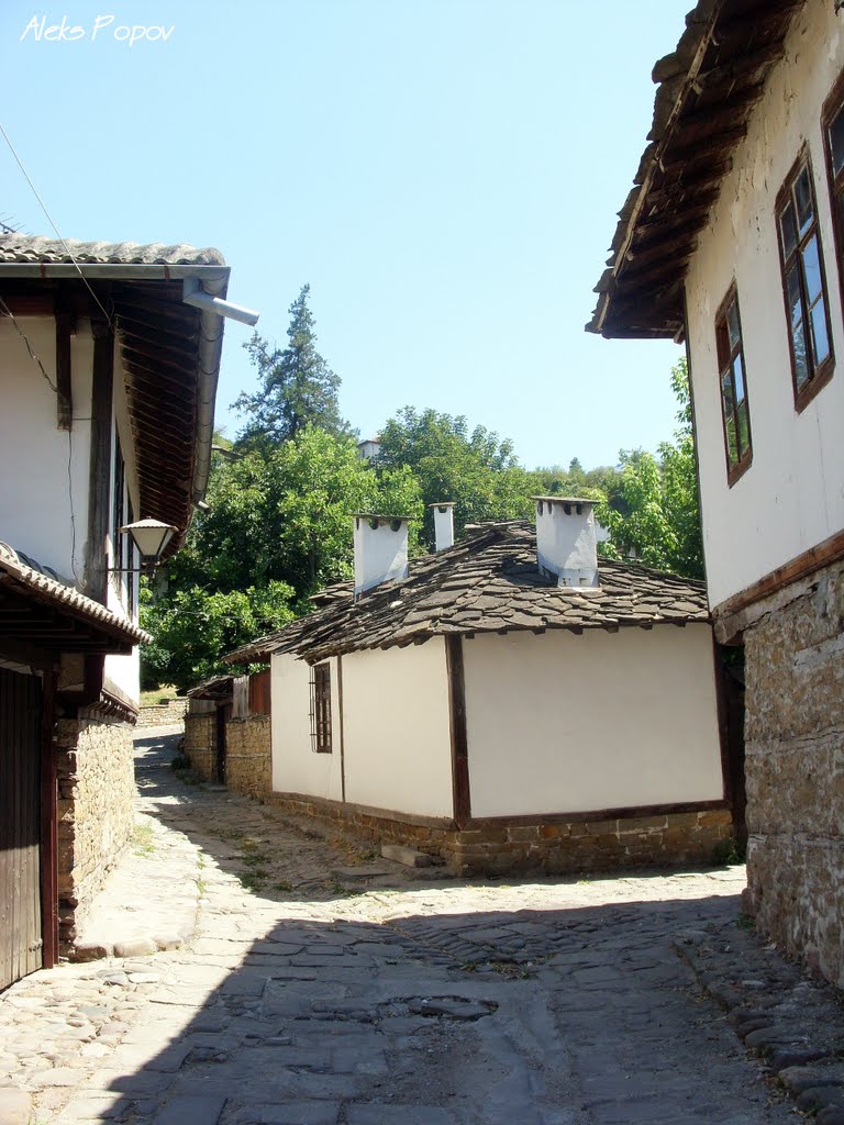 Bulgaria - Lovech / ОБЕКТ 30 - Етнографски музей - Ловеч, Ловеч