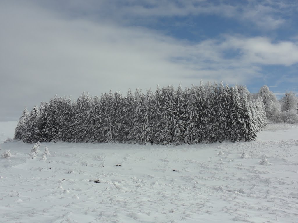 Зимен пейзаж, Михайловград
