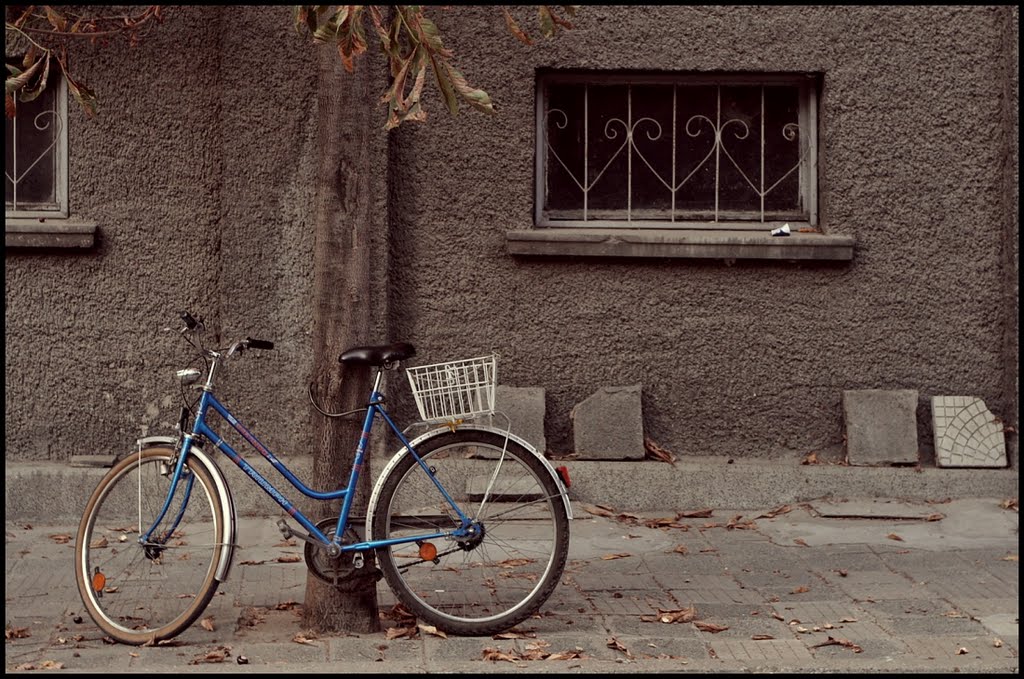 I want to ride my bicycle 01.10.11, Русе