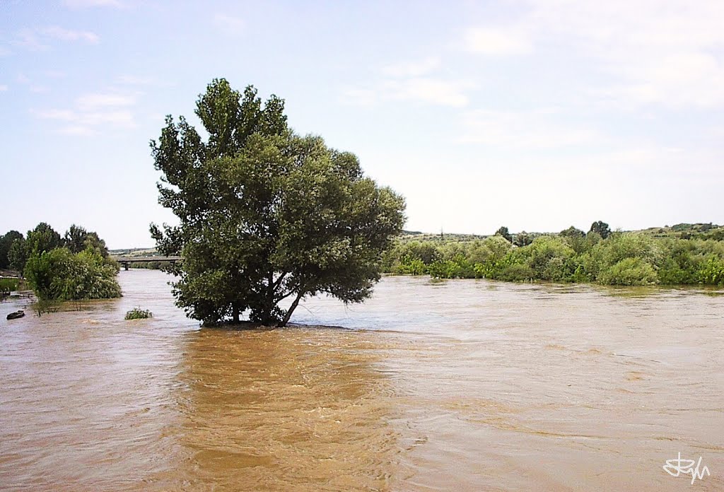 Flood in the river Evros (Svilengrad Bulgaria), Свиленград