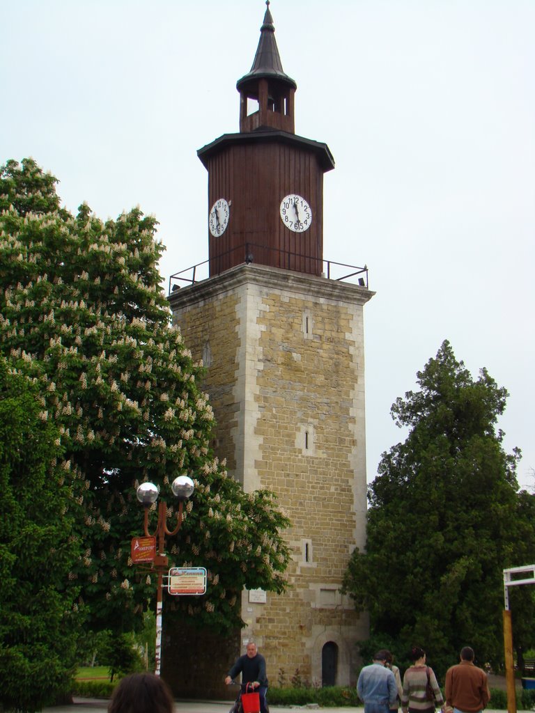Свищов - часовниковата кула, Свиштов