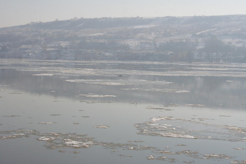 Frozen Danube 2, Свиштов