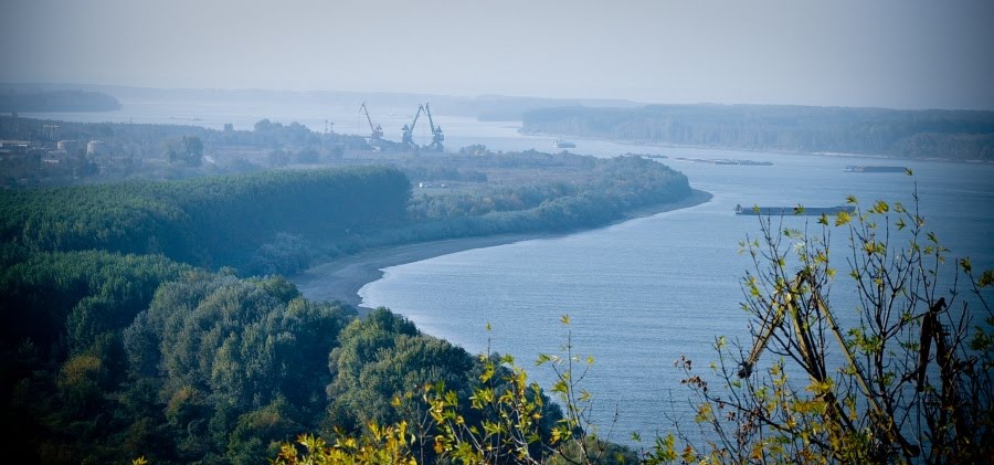 Overlooking the Danube, Свиштов