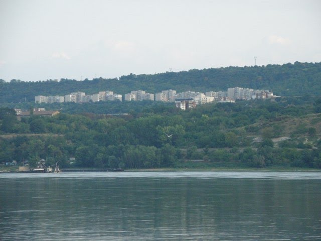 Dunărea şi Sviştovul, Свиштов