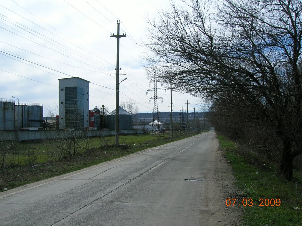 Between Zimnicea city and the riverport, Свиштов
