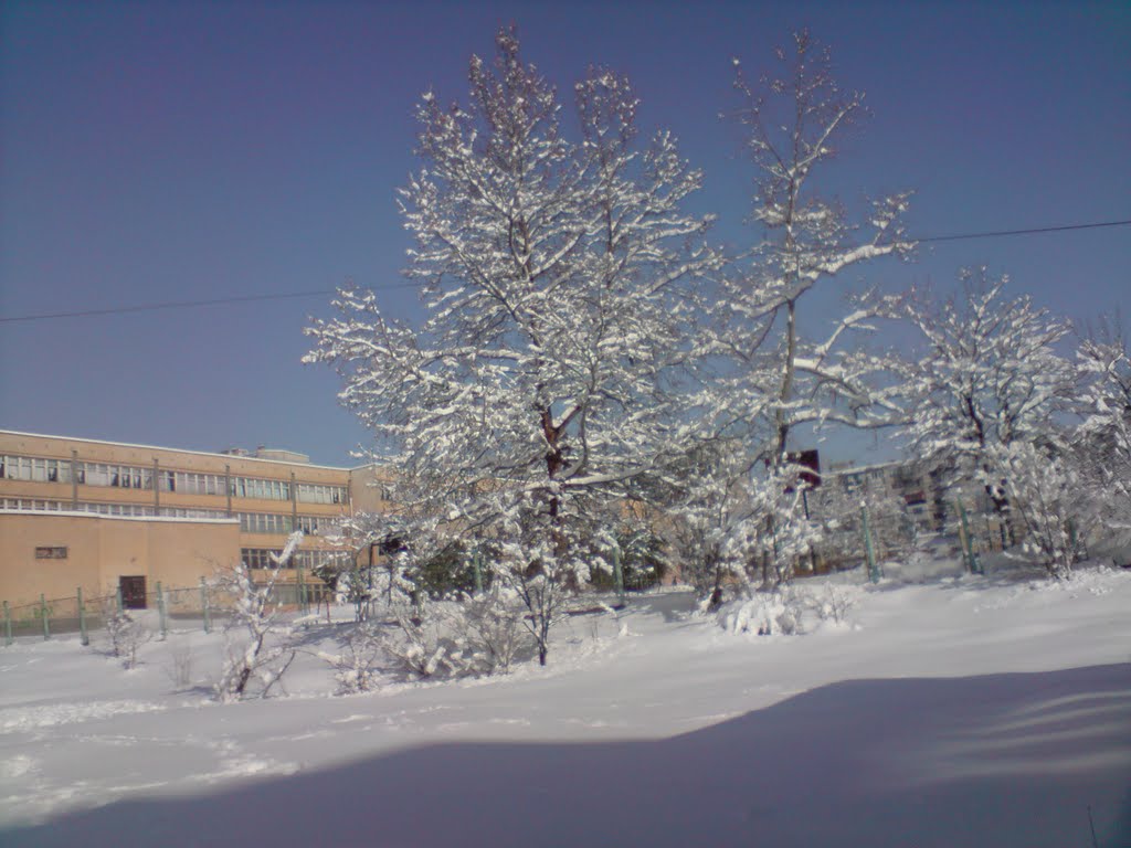 2010/02/09, Хасково