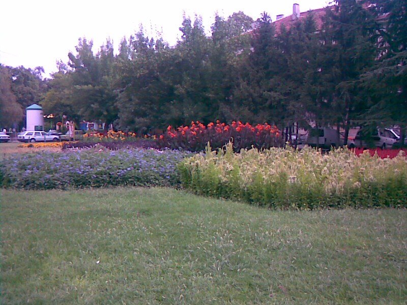 park, Хасково