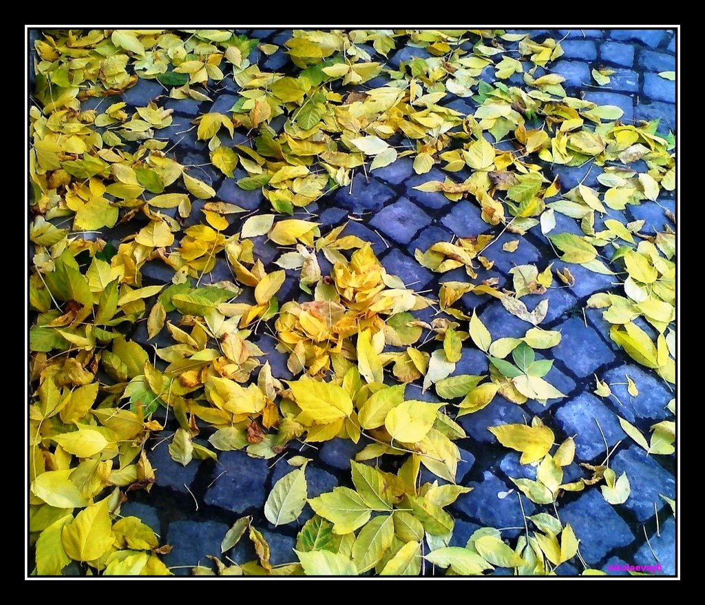 Есен на улица Гурко /  Autumn of  street  "Gurko", Велико Тарново