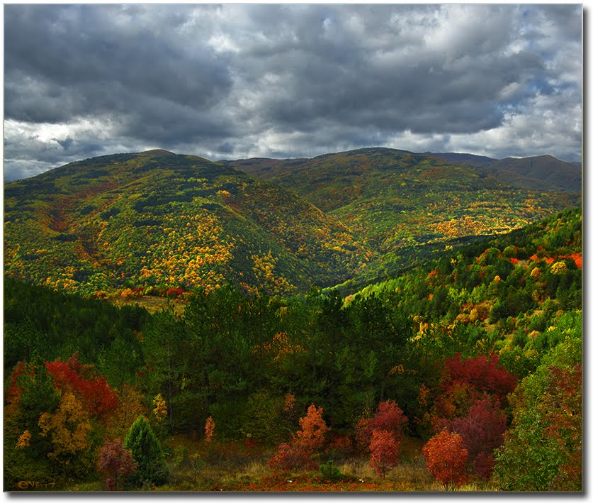Autumn in the Rhodopes / Есен в Родопите, Асеновград