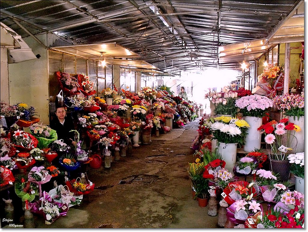 Flower market / Пазара за цветя, Казанлак
