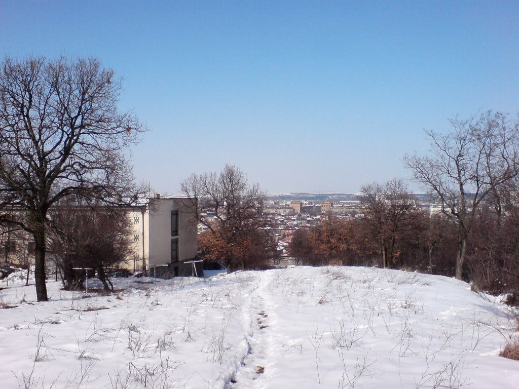 Dimitrovgrad / Изглед от парк П. Пенев, Димитровград