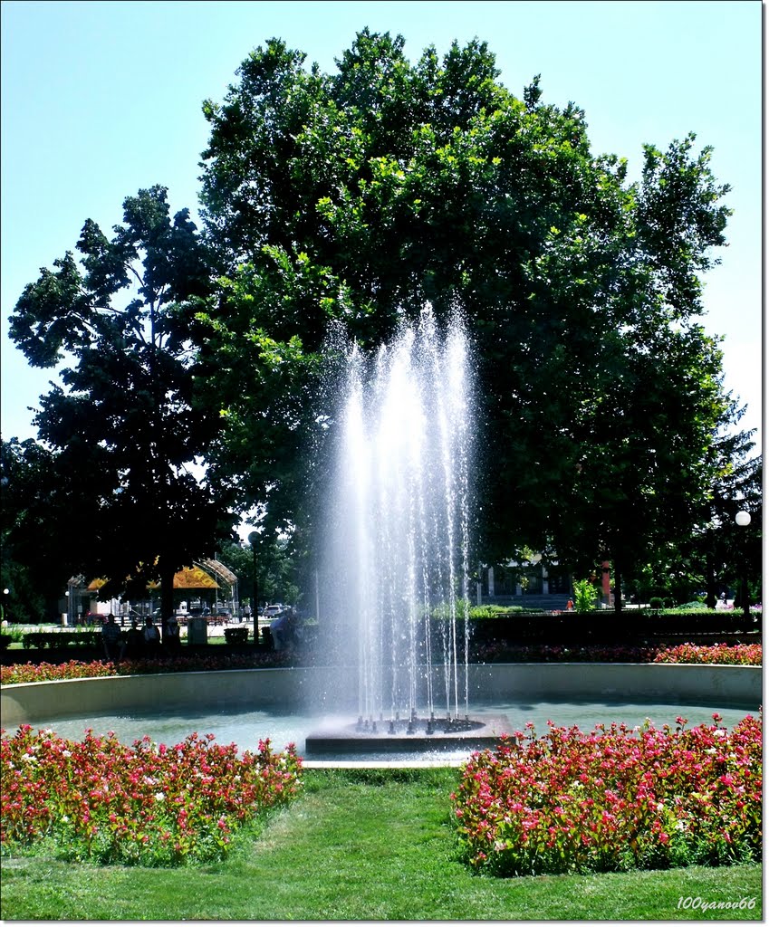 Fountain / Фонтан, Димитровград