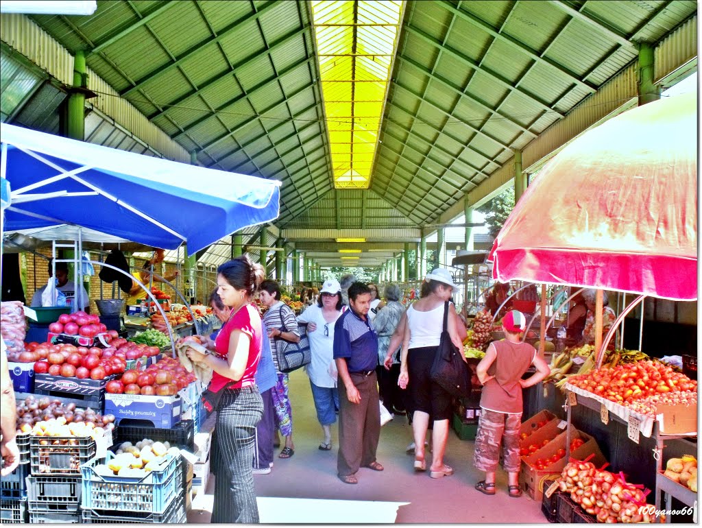 The market / На пазара, Димитровград