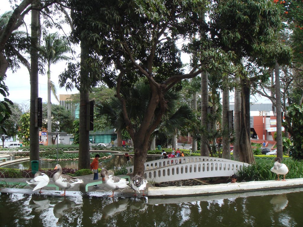 Praça da Matriz, jardins., Виториа-да-Конкиста