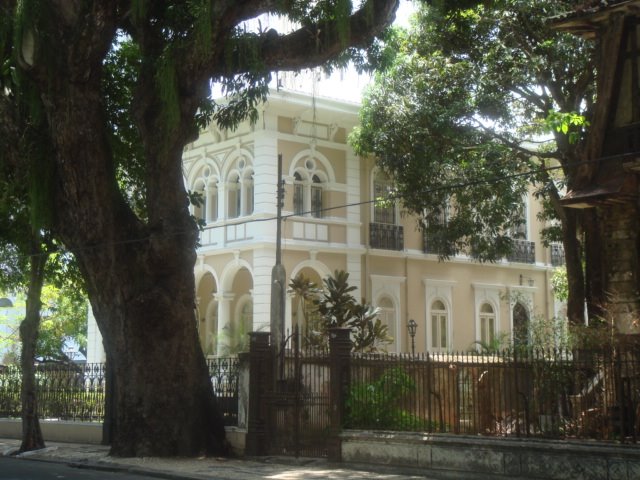 Casa do Vitória, leão e mangueira., Витория