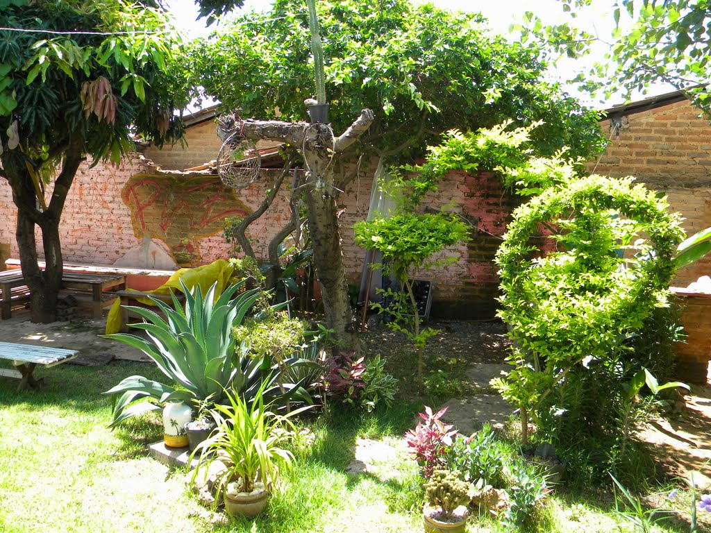 quintal da casa de Pablo Silva Moura, Санта-Мария