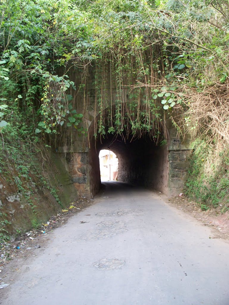 Boca sul do pequeno túnel da E.F.O.M. em Barbacena, Барбасена